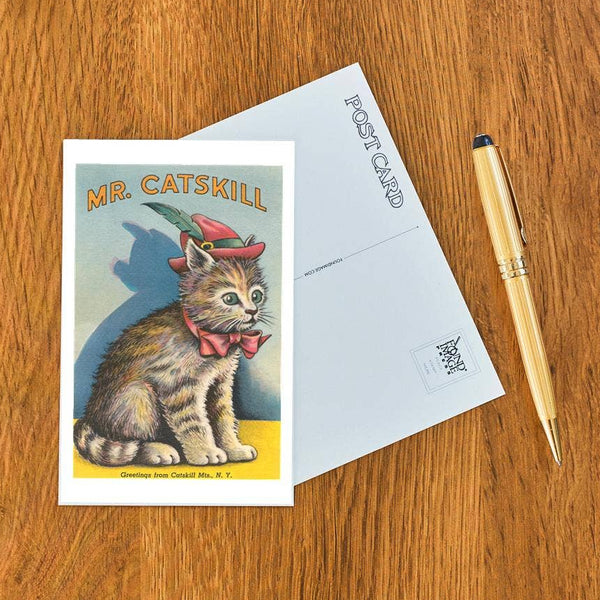 NS-738 Mr. Catskill, Greetings from Catskill Mts. Postcard