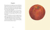 Apples