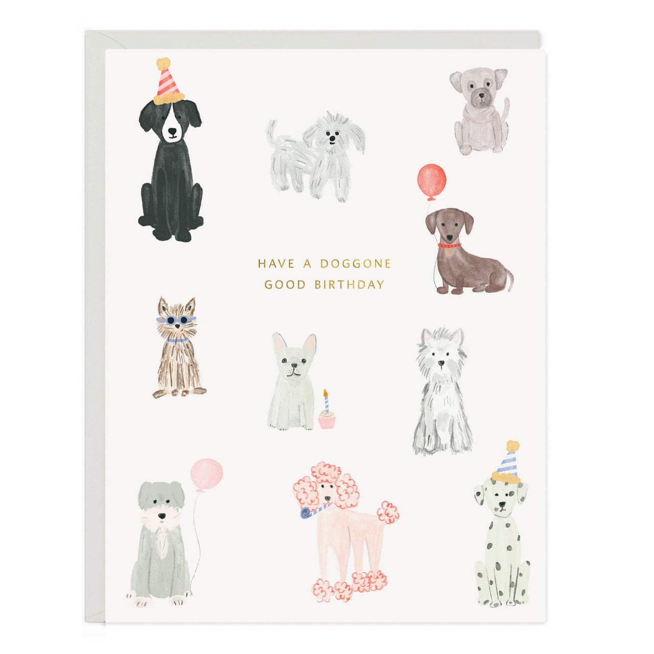Doggone Birthday