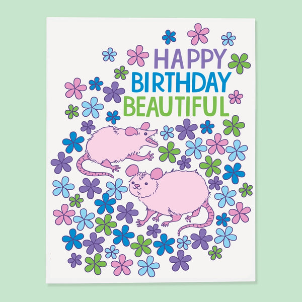 Opossum Bday