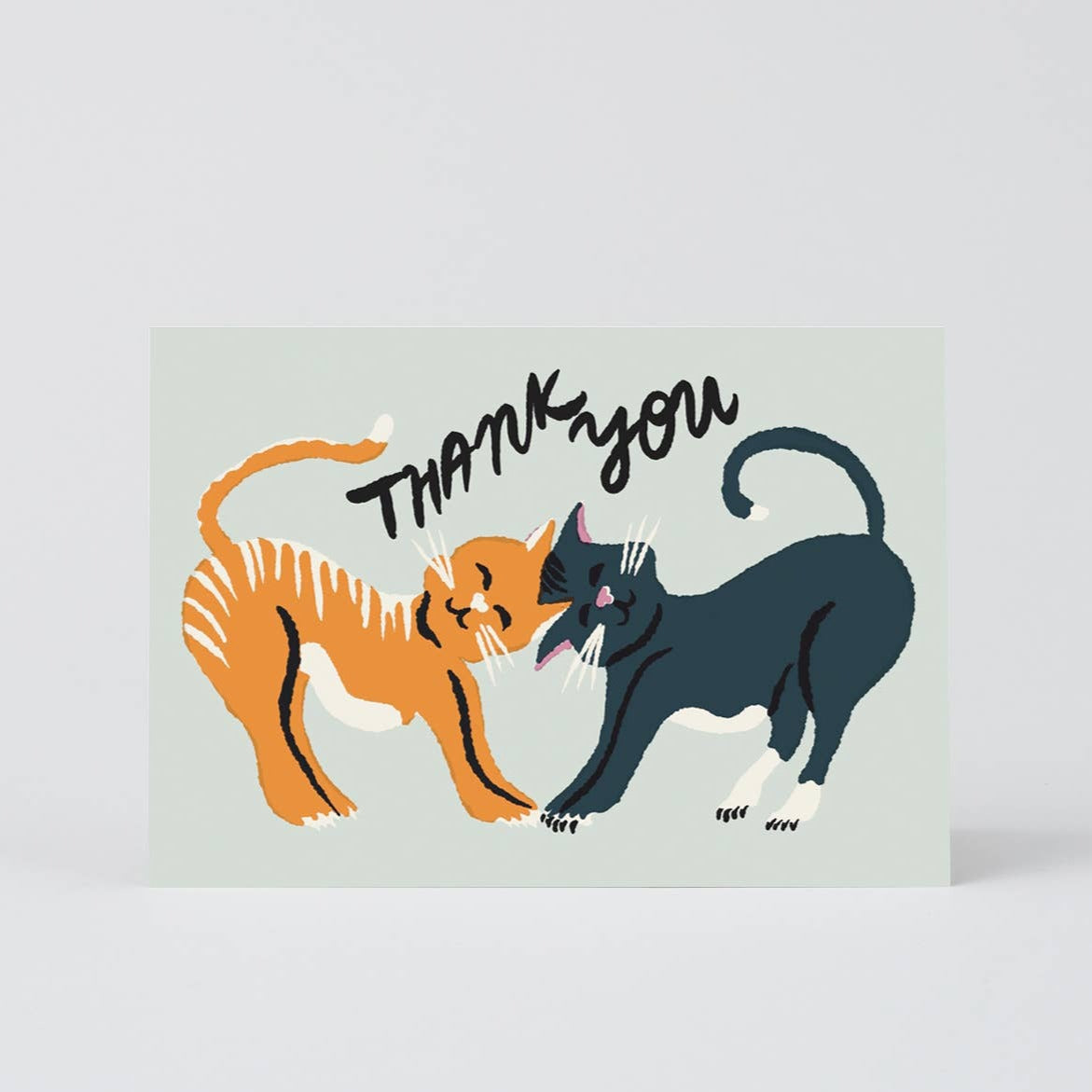 Thank You Cats