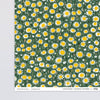 Daisies Gift Wrap