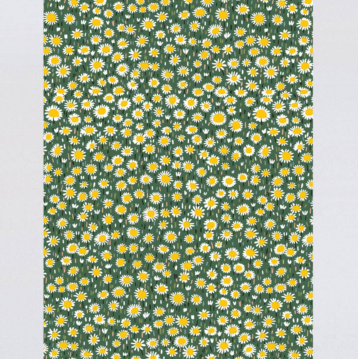 Daisies Gift Wrap