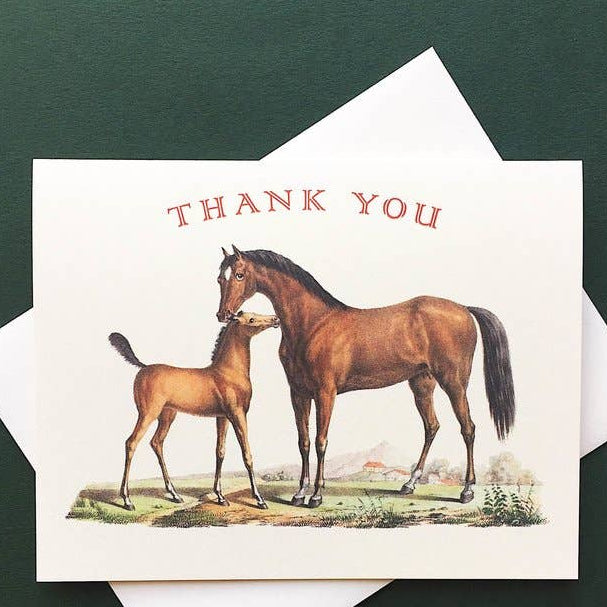 Mare and Colt Thanks