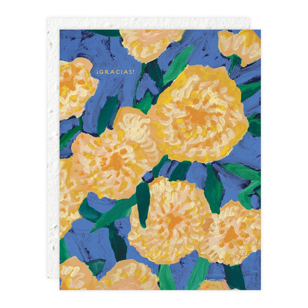 Bursts of Marigolds Gracias