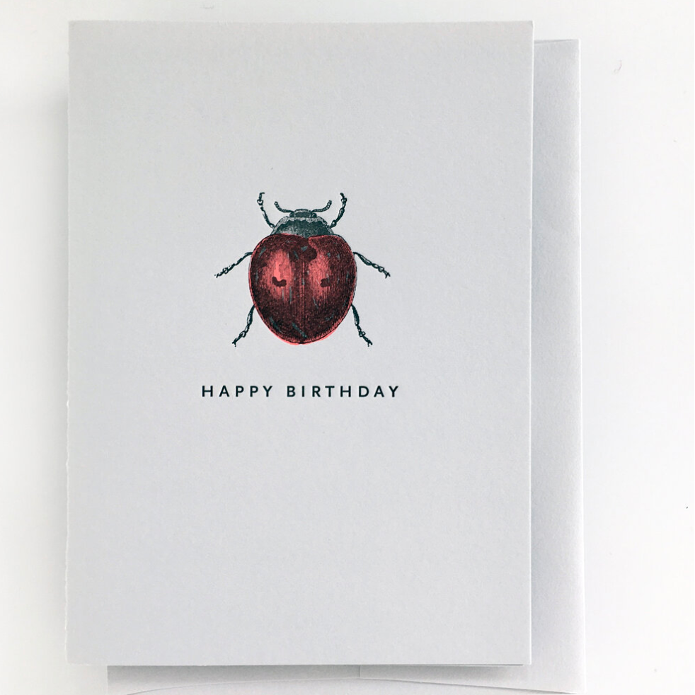 Ladybug Birthday