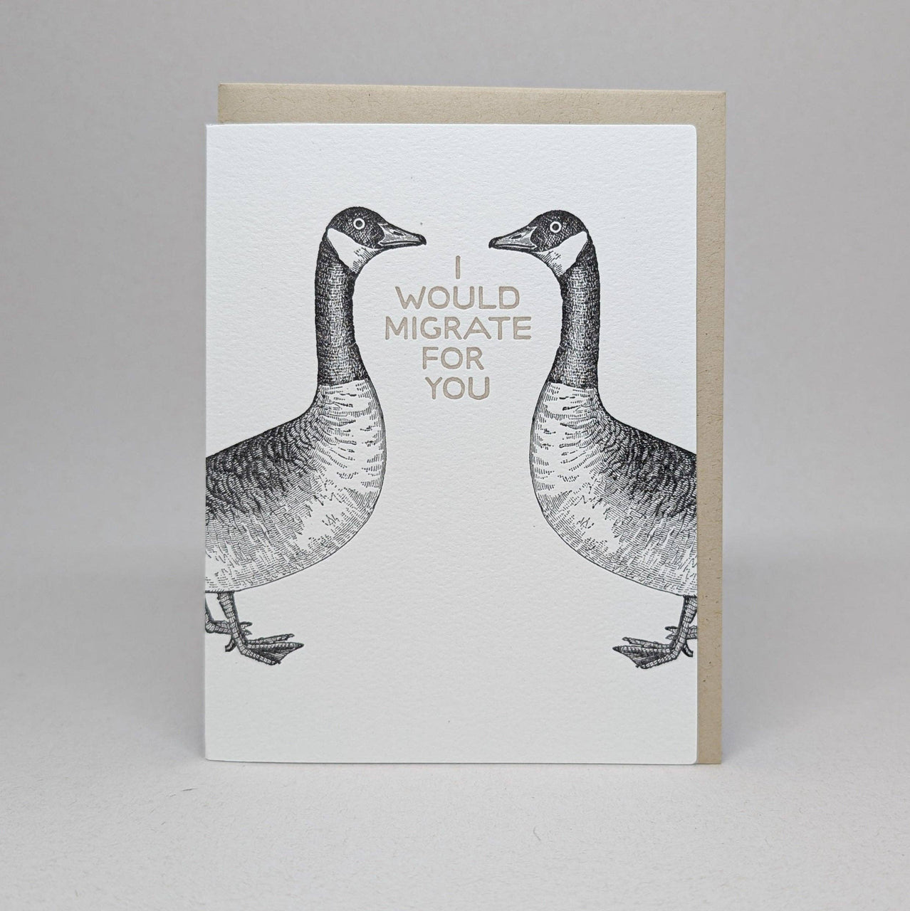 Migrate for You