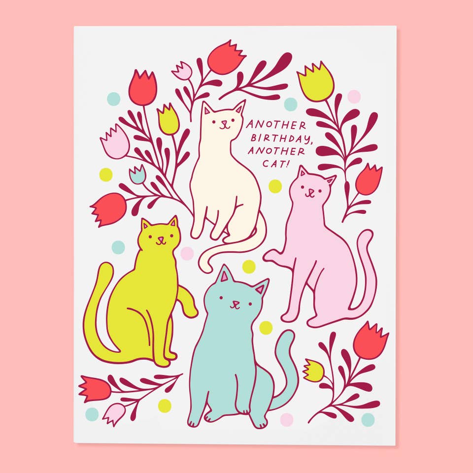 Another Cat Bday