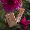 Cherry Blossom Divine Hand Cream