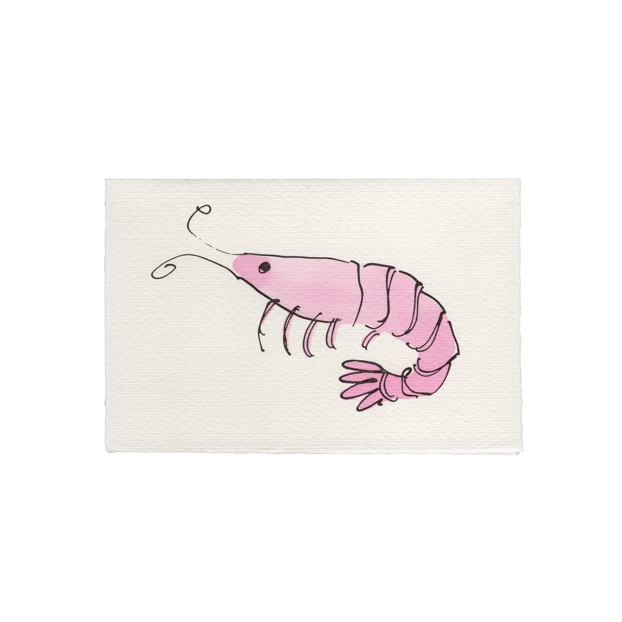 Shrimp