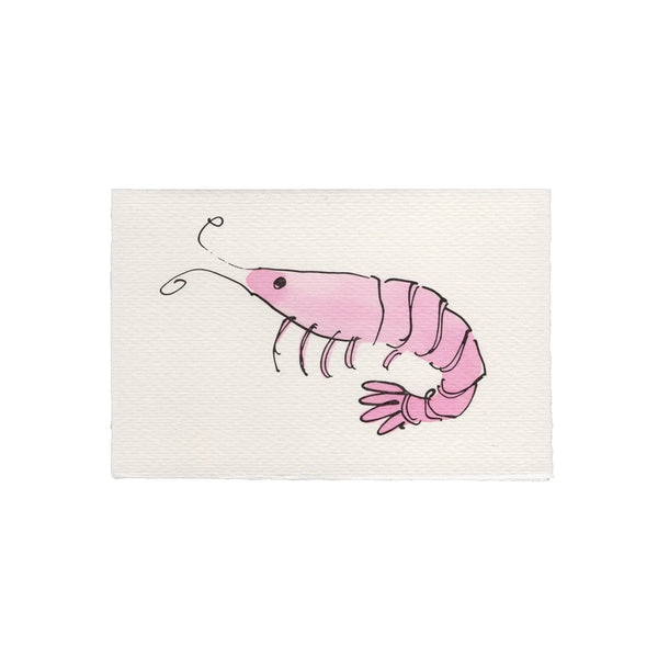 Shrimp
