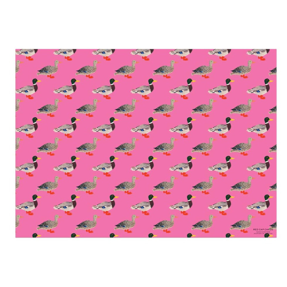 Quacky Birthday Wrap Sheet